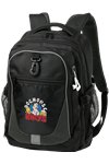 Domain Computer Backpack