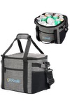 Alpine 24 Can Cooler