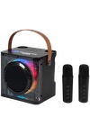 15W Karaoke Wireless Speaker with 2 Mics