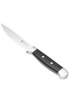 Oneida® Jumbo 4 Piece Steak Knife Set 28